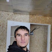 ���������� �����, ���� ������� Numon, 38 ���, ������������ ��� ������