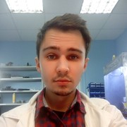 ���������� �������, ���� ������� �����, 33 ����, ������������ ��� ������, ����� � ���������, c�������� ���������, ���������