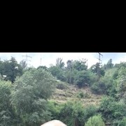  ,   , 51 ,   c 