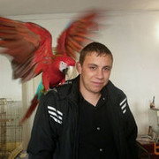  ,   , 36 ,   ,   , c 