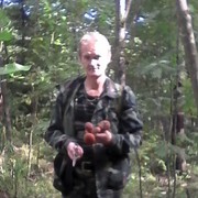  ,   , 55 ,  