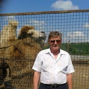 ���������� ������, ���� ������� �������, 66 ���, ������������ 