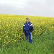 ���������� ����, ���� ������� ������, 45 ���, ������������ ��� ������, ����� � ���������