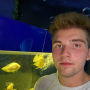 ���������� �������, ���� ����� ����, 20 ���, ������������ ��� ������, ����� � ���������