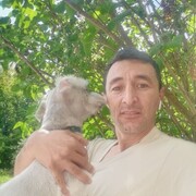 ���������� ������, ������� �����, 36