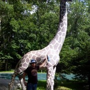 ���������� ���������, ���� ������� ��������, 39 ���, ������������ ��� ����� � ���������, c�������� ���������