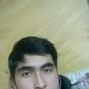  ,   Timur, 31 ,   ,   , c , 