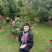  -,   , 43 ,   ,   , c 