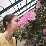  ,   , 24 ,     , 