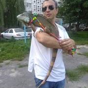 ���������� ������, ���� ������� ������, 48 ���, ������������ ��� ������, ����� � ���������, c�������� ���������