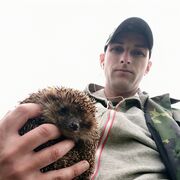  ,   Anderson, 33 ,   ,   , c , 