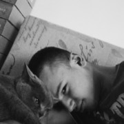  ,    , 29 ,   ,   , c , 