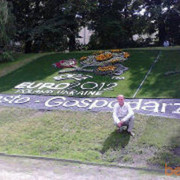 ���������� ����, ���� ������� Mixail2642, 44 ����, ������������ ��� ������, ����� � ���������, c�������� ���������