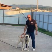  ,   , 38 ,     , c , 