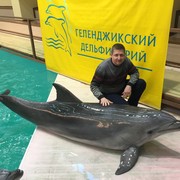 ���������� ����-��������, ������� ����������, 53