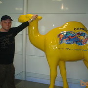 ���������� ������, ���� ������� ����, 58 ���, ������������ ��� ������