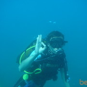 ���������� �����, ���� ������� �������, 41 ���, ������������ ��� ������