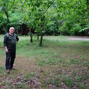 ���������� ����, ���� ������� Tarlan, 55 ���, ������������ ��� ������, ����� � ���������, c�������� ���������, ���������