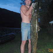 ���������� ��������, ���� ������� ��������� 1, 47 ���, ������������ ��� ������