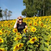 ���������� ���������������, ���� ������� �����, 43 ����, ������������ ��� c�������� ���������