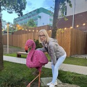 ���������� ������, ���� ������� �������, 38 ���, ������������ ��� ������, ����� � ���������