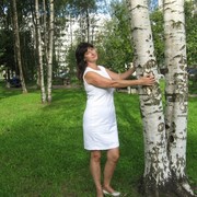 ���������� �����-���������, ���� ������� ���������, 60 ���, ������������ ��� ������, ����� � ���������, c�������� ���������