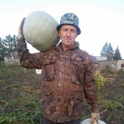  ,   , 54 ,  
