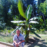  ,   , 48 ,   ,   , c 