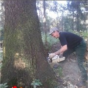 ���������� ��������, ���� ������� ���������, 44 ����, ������������ ��� ������, ����� � ���������, c�������� ���������