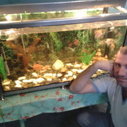 ���������� ��������������, ���� ������� �����, 46 ���, ������������ ��� ������, ����� � ���������, c�������� ���������