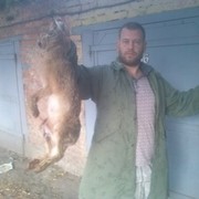  ,   Alex, 39 ,   ,   , c , 