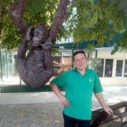 ���������� �������, ���� ������� ����, 50 ���, ������������ ��� ������, ����� � ���������, c�������� ���������