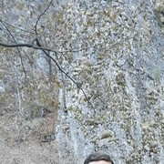 ���������� ���, ���� ������� ������, 48 ���, ������������ ��� ����� � ���������, c�������� ���������