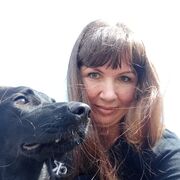 ���������� ���������, ���� ������� �����, 39 ���, ������������ ��� ������, ����� � ���������