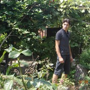  ,   , 33 ,   