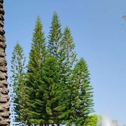  ,   , 48 ,   ,   , c 