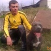   ,   Evgenii, 32 ,   ,   , c 