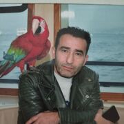 ���������� ��������, ���� ������� ����, 38 ���, ������������ ��� ������, ����� � ���������