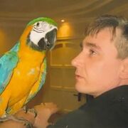 ���������� �������, ���� ������� ���������, 56 ���, ������������ ��� c�������� ���������