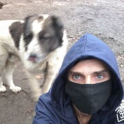  ,   , 43 ,   ,   