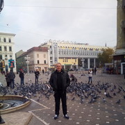  Zitiste,   Aleksandar, 50 ,   ,   , c 