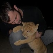 ���������� ������, ���� ������� ��������, 29 ���, ������������ ��� ������, ����� � ���������, c�������� ���������, ���������