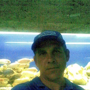  ,  , 53