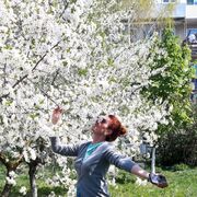 ���������� �����������������, ���� ������� �����, 46 ���, ������������ 