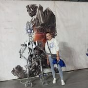 ���������� ��������������, ���� ������� ����, 35 ���, ������������ 