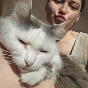  ,   , 22 ,     , c 