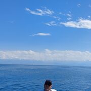 ���������� ���������, ���� ������� ����������, 67 ���, ������������ ��� ������, ����� � ���������