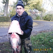 ���������� �����, ���� ������� ������, 65 ���, ������������ ��� ������, ����� � ���������, c�������� ���������