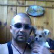  ,   47, 61 ,   , 