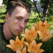 ���������� ������, ���� ������� ����������, 43 ����, ������������ ��� ������, ����� � ���������, c�������� ���������, ���������